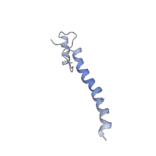4040_5ldw_a_v1-2
Structure of mammalian respiratory Complex I, class1