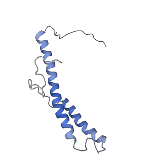 4040_5ldw_d_v1-2
Structure of mammalian respiratory Complex I, class1