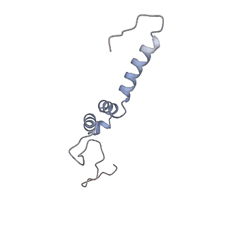 4040_5ldw_e_v1-2
Structure of mammalian respiratory Complex I, class1