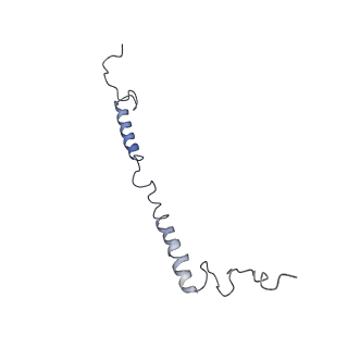 4040_5ldw_g_v1-2
Structure of mammalian respiratory Complex I, class1
