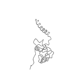 4040_5ldw_l_v1-2
Structure of mammalian respiratory Complex I, class1