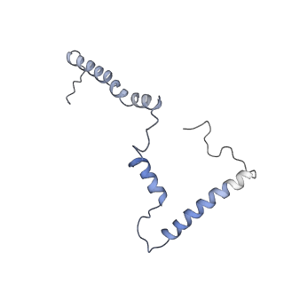 4040_5ldw_m_v1-2
Structure of mammalian respiratory Complex I, class1