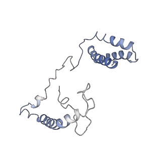 4040_5ldw_n_v1-2
Structure of mammalian respiratory Complex I, class1