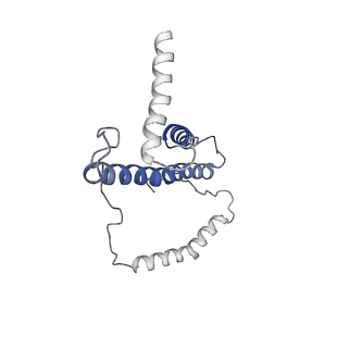 4040_5ldw_p_v1-2
Structure of mammalian respiratory Complex I, class1