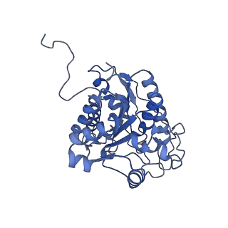 23293_7lex_B_v1-0
Trimeric human Arginase 1 in complex with mAb1 - 2 hArg:3 mAb1 complex