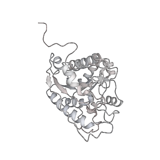 23293_7lex_N_v1-0
Trimeric human Arginase 1 in complex with mAb1 - 2 hArg:3 mAb1 complex