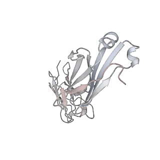 23293_7lex_O_v1-0
Trimeric human Arginase 1 in complex with mAb1 - 2 hArg:3 mAb1 complex
