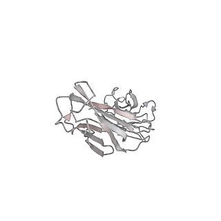 23293_7lex_R_v1-0
Trimeric human Arginase 1 in complex with mAb1 - 2 hArg:3 mAb1 complex