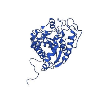 23294_7ley_A_v1-0
Trimeric human Arginase 1 in complex with mAb5