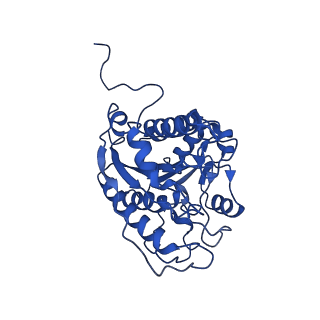 23294_7ley_B_v1-0
Trimeric human Arginase 1 in complex with mAb5