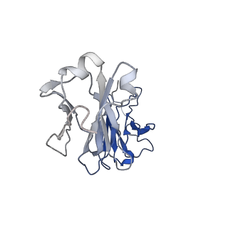 23294_7ley_F_v1-0
Trimeric human Arginase 1 in complex with mAb5