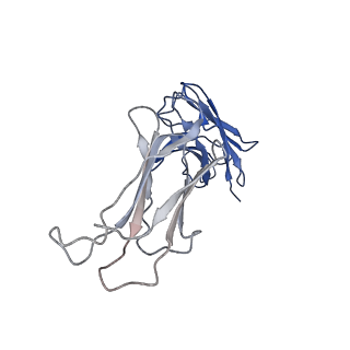 23294_7ley_G_v1-0
Trimeric human Arginase 1 in complex with mAb5
