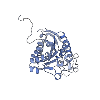 23295_7lez_B_v1-0
Trimeric human Arginase 1 in complex with mAb1 - 2 hArg:2 mAb1 complex