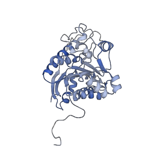 23295_7lez_C_v1-0
Trimeric human Arginase 1 in complex with mAb1 - 2 hArg:2 mAb1 complex