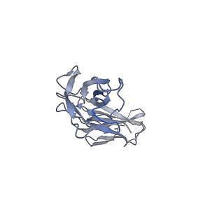 23295_7lez_D_v1-0
Trimeric human Arginase 1 in complex with mAb1 - 2 hArg:2 mAb1 complex
