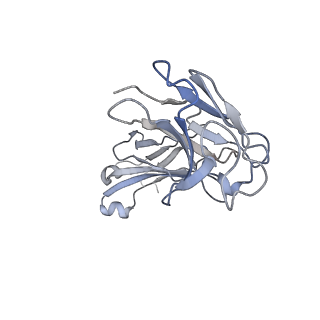 23295_7lez_E_v1-0
Trimeric human Arginase 1 in complex with mAb1 - 2 hArg:2 mAb1 complex