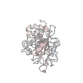 23295_7lez_J_v1-0
Trimeric human Arginase 1 in complex with mAb1 - 2 hArg:2 mAb1 complex