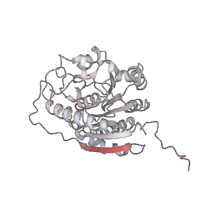 23295_7lez_N_v1-0
Trimeric human Arginase 1 in complex with mAb1 - 2 hArg:2 mAb1 complex