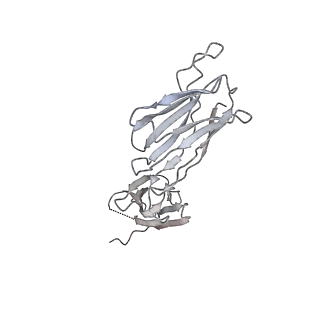 23295_7lez_Q_v1-0
Trimeric human Arginase 1 in complex with mAb1 - 2 hArg:2 mAb1 complex