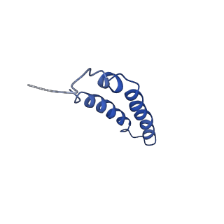 4042_5leg_1D_v1-1
Structure of the bacterial sex F pilus (pED208)