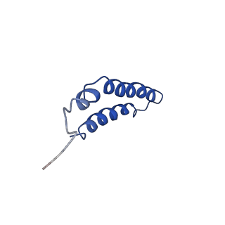 4042_5leg_1F_v1-1
Structure of the bacterial sex F pilus (pED208)