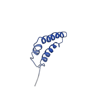 4042_5leg_1G_v1-1
Structure of the bacterial sex F pilus (pED208)