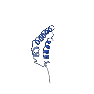 4042_5leg_1H_v1-1
Structure of the bacterial sex F pilus (pED208)