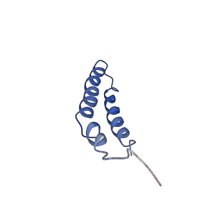 4042_5leg_1I_v1-1
Structure of the bacterial sex F pilus (pED208)