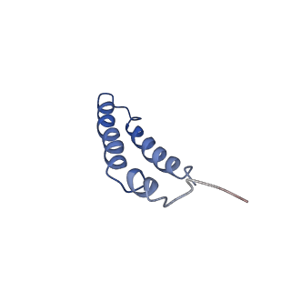 4042_5leg_1J_v1-1
Structure of the bacterial sex F pilus (pED208)