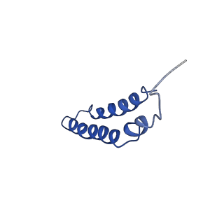 4042_5leg_2B_v1-1
Structure of the bacterial sex F pilus (pED208)