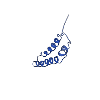 4042_5leg_2C_v1-1
Structure of the bacterial sex F pilus (pED208)
