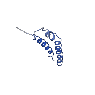 4042_5leg_2F_v1-1
Structure of the bacterial sex F pilus (pED208)