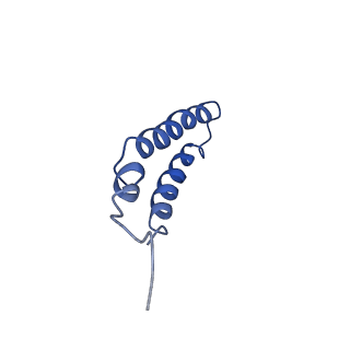 4042_5leg_2J_v1-1
Structure of the bacterial sex F pilus (pED208)