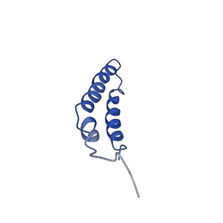 4042_5leg_2K_v1-1
Structure of the bacterial sex F pilus (pED208)