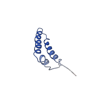 4042_5leg_2L_v1-1
Structure of the bacterial sex F pilus (pED208)