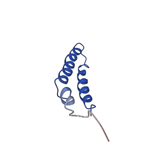 4042_5leg_3A_v1-1
Structure of the bacterial sex F pilus (pED208)