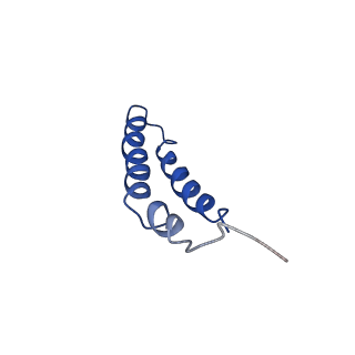 4042_5leg_3B_v1-1
Structure of the bacterial sex F pilus (pED208)
