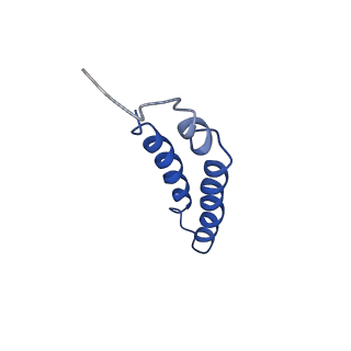 4042_5leg_3H_v1-1
Structure of the bacterial sex F pilus (pED208)