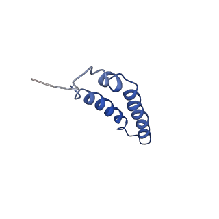 4042_5leg_3I_v1-1
Structure of the bacterial sex F pilus (pED208)