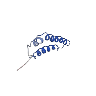 4042_5leg_3K_v1-1
Structure of the bacterial sex F pilus (pED208)