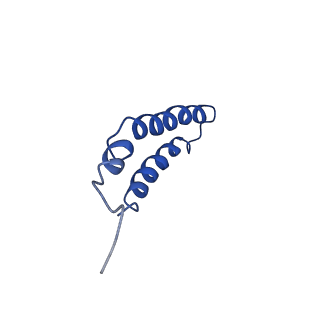 4042_5leg_3L_v1-1
Structure of the bacterial sex F pilus (pED208)