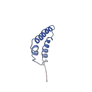 4042_5leg_3M_v1-1
Structure of the bacterial sex F pilus (pED208)
