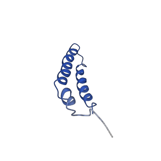 4042_5leg_3N_v1-1
Structure of the bacterial sex F pilus (pED208)