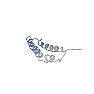 4042_5leg_3P_v1-1
Structure of the bacterial sex F pilus (pED208)