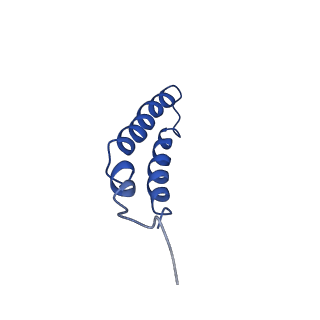 4042_5leg_4C_v1-1
Structure of the bacterial sex F pilus (pED208)