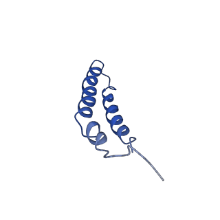 4042_5leg_4D_v1-1
Structure of the bacterial sex F pilus (pED208)