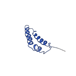 4042_5leg_4E_v1-1
Structure of the bacterial sex F pilus (pED208)