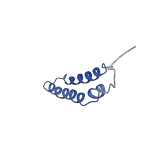 4042_5leg_4G_v1-1
Structure of the bacterial sex F pilus (pED208)
