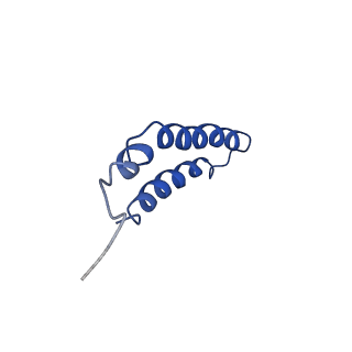 4042_5leg_4N_v1-1
Structure of the bacterial sex F pilus (pED208)