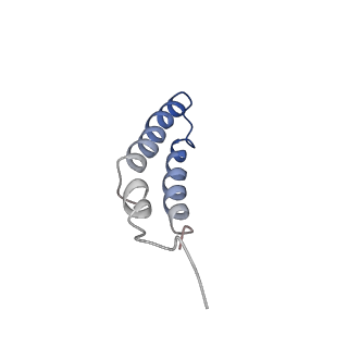 4042_5leg_4P_v1-1
Structure of the bacterial sex F pilus (pED208)